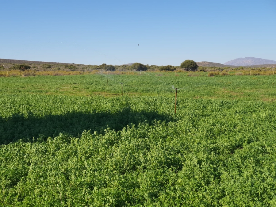 5 Bedroom Property for Sale in Ladismith Rural Western Cape